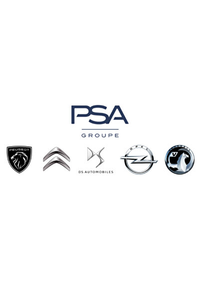 Opel Banda de protectie, grila radiator Insignia A
