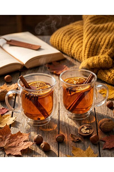 NO BRAND Sticlă termică pentru cafea, ceai, vin cald, set 2 bucăți 250ml