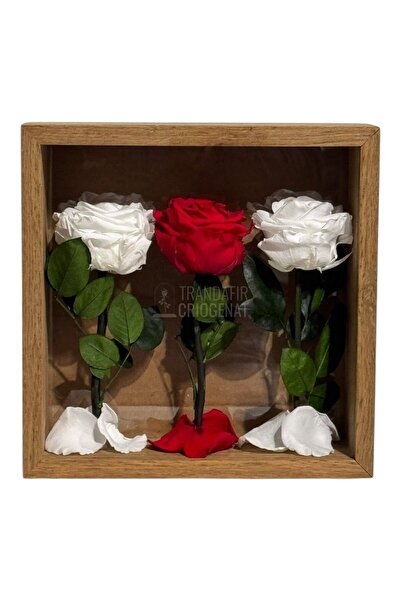 Trandafir Criogenat Tablou cu 3 trandafiri conservați 27 x 27 cm