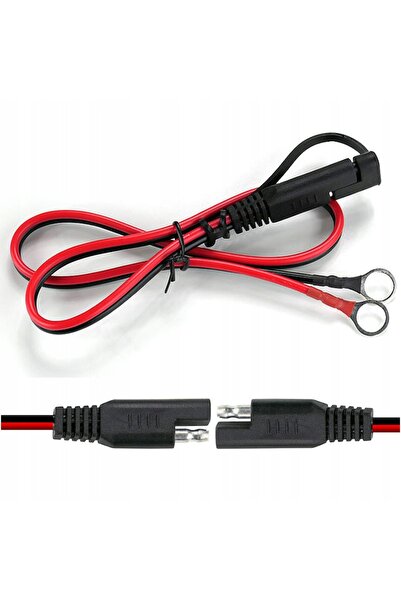 everActive ÎNCĂRCĂTOR, REDRESOR AUTOMAT 12V / 24V EV