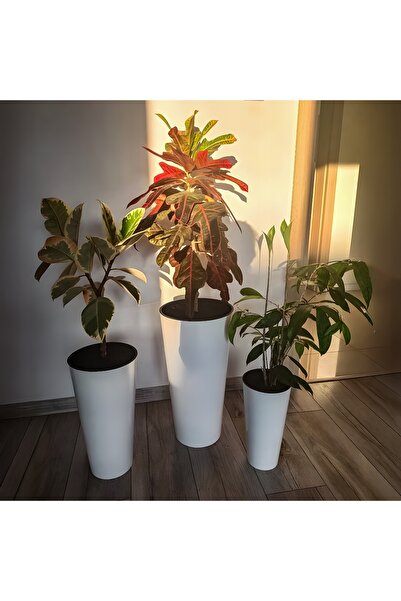 Deco4Home SET 3x JARDINIERE ALBE ROTUNDE LUCIOASE PENTRU TEREȚE + INGREDEȚE