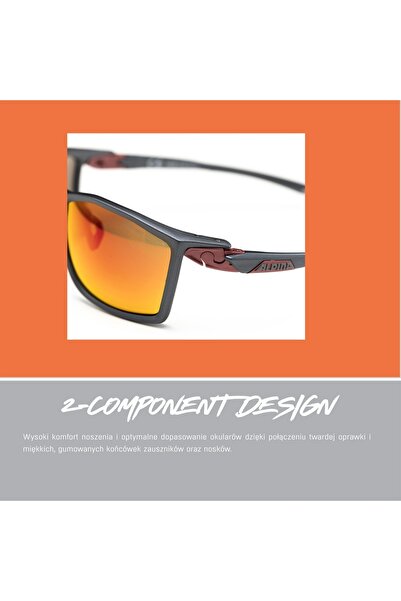 Alpina Defey Eyewear