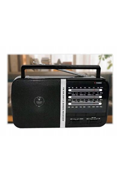 Dartel Radio cu baterii AM, FM RD-170 portabil de bucătărie