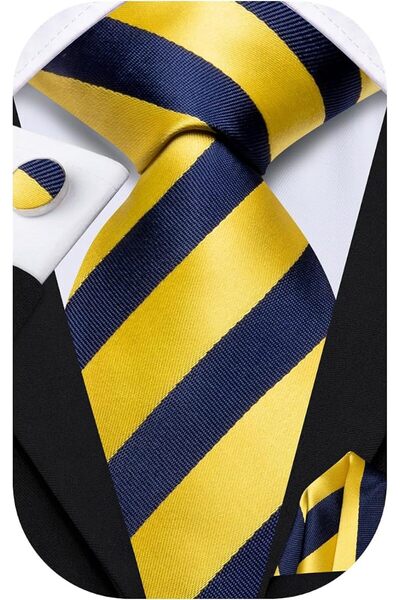Dubulle Mens Paisely Silk Tie for Men Necktie and Pocket Square Set