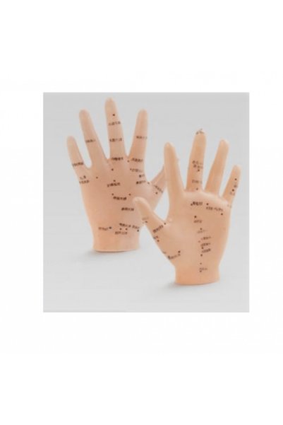 NW NessiWorld Acupuncture Hand Model