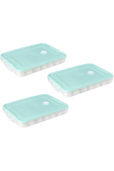 Generic 3PCS Dumpling Storage Box - Fridge Food Holder & Organizer Tray with ...