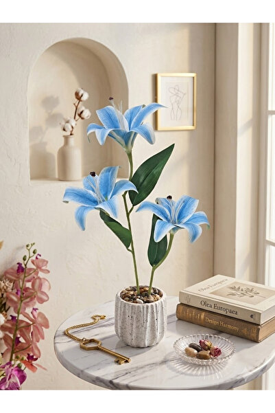 co arma Artificial Night Flowers in Plastic Container, 40 Cm,