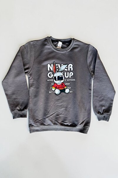 Minik Motion Set of 3 Children's Printed 2-Thread Combed Cotton Sweatshirts