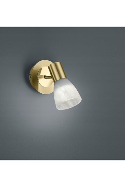 Trio Reflector de perete LEVISTO Auriu IP20 40W E14 reglabil