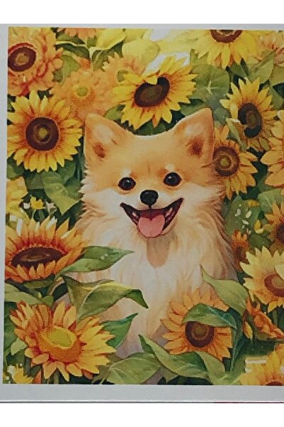 DUCK HOBY 30x40 Boncuklu Taş İşleme Mozaik Elmas Goblen Tablo Resim Boncuk Pu...