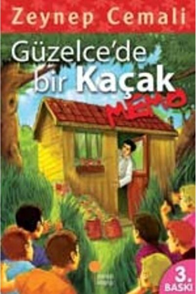 Günışığı Kitaplığı Güzelcede Bir Kaçak, Memo