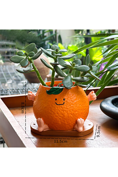 Choice Tj008-20 Creative Cute Smiling Face Orange Sitting Posture Succulent F...
