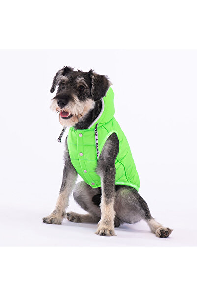 Pawstar Neon Green Railway Anorak Vest Dog Vest Dog Outfit Dog Raincoat