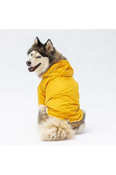 Pawstar Sarı Pluvia Büyük Köpek Mont Büyük Irk Yağmurluk Köpek Kıyafeti