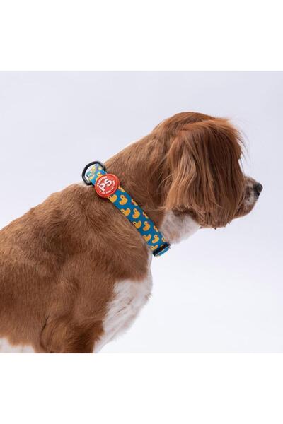 Pawstar Ducks Ördek Desenli Köpek Boyun Tasması Ayarlanabilir Köpek Tasması