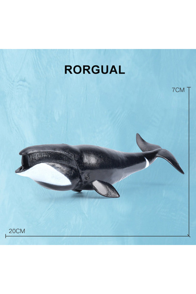Choice10 Rorgual Simulation Marine Sea Life Whale Figurines Shark Cachalot Ac...