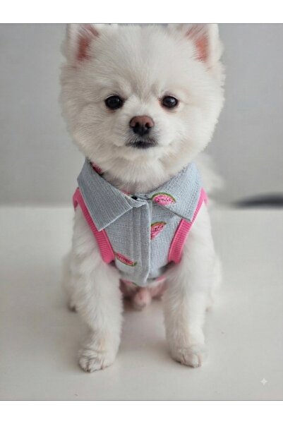 atelyu Dog Patterned Knitted Sleeveless Shirt