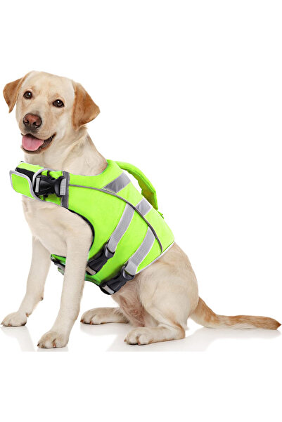 Choice XL Green Ensure Your Dog's Water Adventures are Safe and Stylish: Prem...