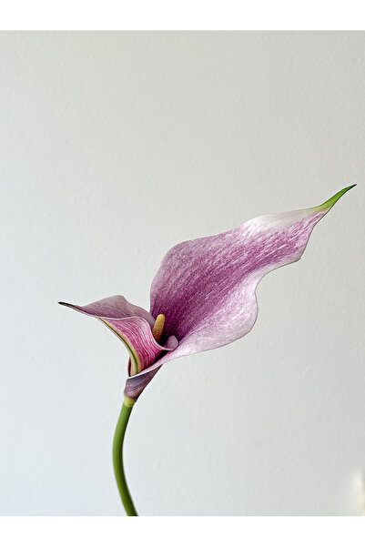Choice 1pc PURPLE 1/3pcs high quality artificial horseshoe lotus desktop flow...