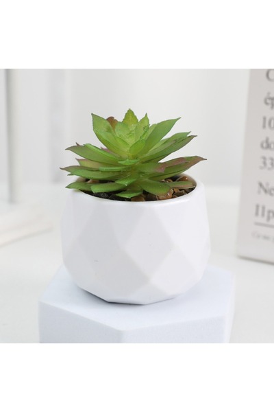 Choice C Artificial Succulent Bonsai Plants Simulation Succulents Mini Evergr...