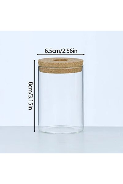 Choice4 D Nordic Glass Hydroponic Vase with Tray - Mini Self-Watering Planter...