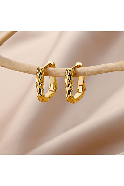 Choice E3120G-8 Stainless Steel Chain Earrings For Women Gold Color Geometric...