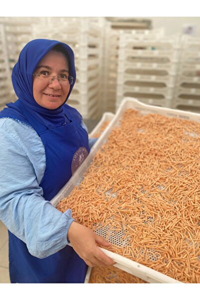 Sofyanın Arka Bahçesi Zerdeçal ve Havuçlu Erişte 500gr