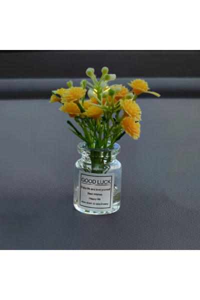 Choice Yellow Gypsophila Delicate Miniature Potted Flowers Assorted Colors Ca...