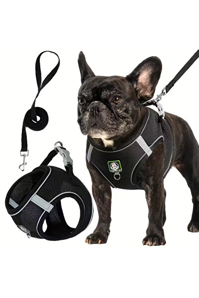 Choice21 S black [Dog Walking Harness] 601 Small And Medium Dog Walking Harne...