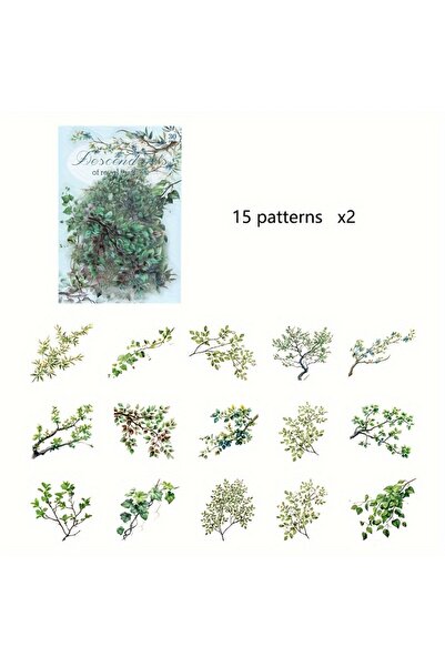 Choice3 E 30 Pcs/Pack Vintage plant flowers PET waterproof sticker for DIY sc...