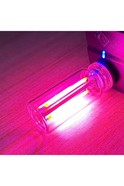 Choice Pink Retro LED Edison Bulb Night Light Camping Incandescent Decorative...