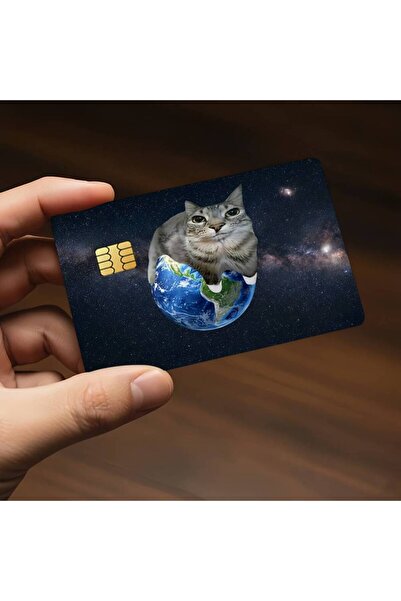 Choice1 z1 18.6x13.7CM Fun Cat Meme Zazu Credit Decorative Card Stickers Suit...
