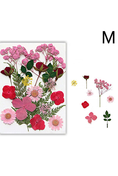 Choice8 M Dried Flowers Real Natural Plant Pressed Flower For Epoxy Resin Fil...