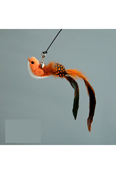 Choice Orange Bird Funny Bird Feather Cat Wand With Bell Accessories Interact...