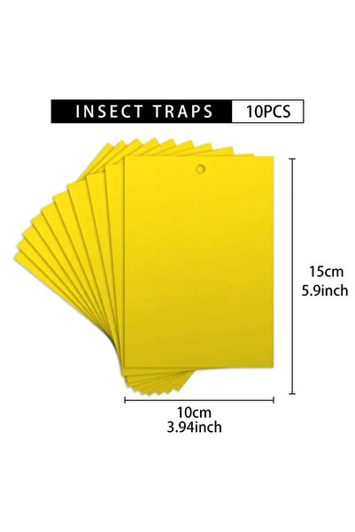 Choice1 10x15cm 10pcs 10 Pieces/set Fruit Fly and Slime Board Insect Traps, F...