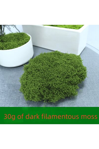 Choice Dark green 30g Moss 30/50/100g Artificial Green Plants Moss Grass Home...