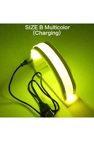 Choice Multicolor Outdoor Sports Night Running Armband LED Light USB Recharge...