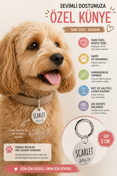 pasiole Metal Köpek Künyesi, Köpek Isimlik, Köpek Kedi Tasması, Köpek Madalyonu
