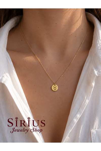 sirius jewelry 316L Çelik Boğa Burcu Kolyesi