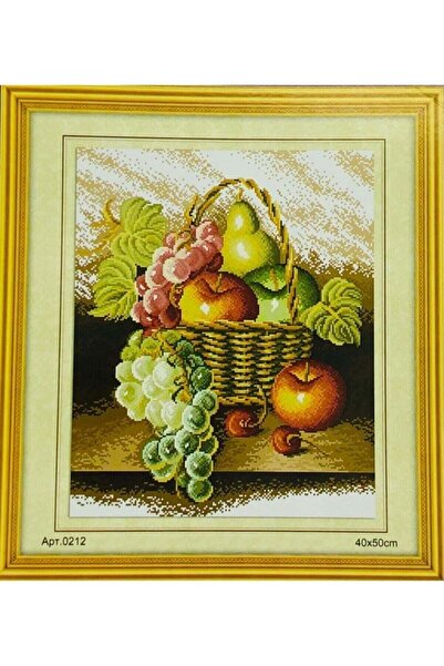 Genel Markalar Goblen Etamin Işleme Seti 40x50 Cm 212