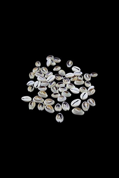 Serhat Aksesuar ve El İşçilik Sea Snail Shells 16 mm Cream Beads (40 Units)