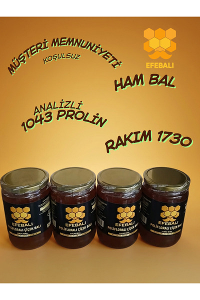 EFEBALI POLİFLORALI ÇİÇEK BALI DÖRTLÜ AMBALAJLI Doğal Katkısız Ham Bal