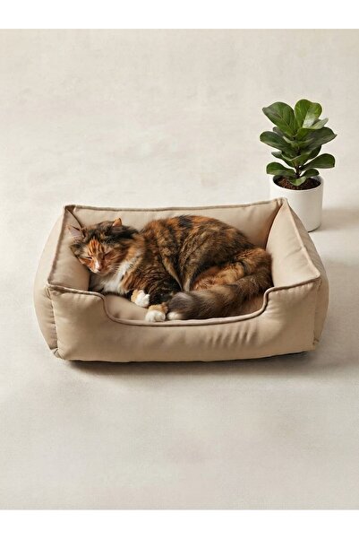 BRT Pet Kedi Yatağı, Küçük Irk Köpek Yatağı 60x45 Krem Tonlarda