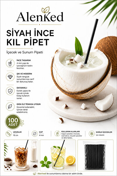 alenked Siyah İnce Kıl Pipet 4x19 cm İçecek ve Sunum Pipeti 100 Adet