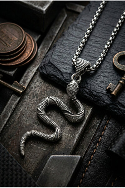 Begondio Snake Handcrafted Stainless Steel Chain Men's Necklace