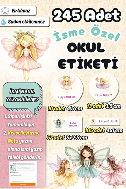 Sticker Ekspres Okul Etiketi Renkli Peri Kızları Kalem Defter Etiketi Özel İs...