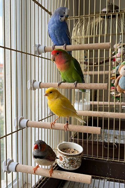 Mivra Pets 4'lü Pürüzsüz Ahşap Muhabbet Kuşu Tüneği 21 cm