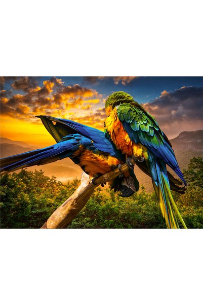 Choice4 111 parrot 100 Pieces Jigsaw Puzzle Assembling Picture Dog Animals De...