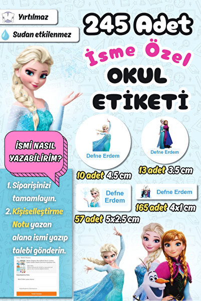 Sticker Ekspres Okul Etiketi Elsa Frozen Temalı Kalem Defter Etiketi Özel İsi...
