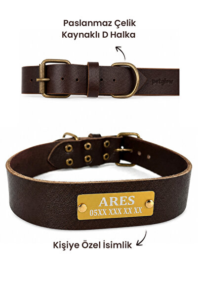 petglow Köpeğiniz İçin Özel Tasarlanan İsimlikli Vejetal Deri Boyun Tasması